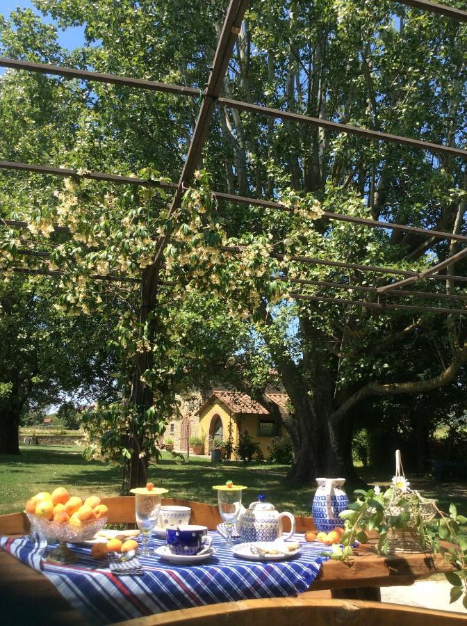 Villa Podere Il Giardino كاستيجليون فيورنتينو المظهر الخارجي الصورة
